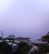 P1020001.jpg