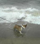 海でおおはしゃぎ!③