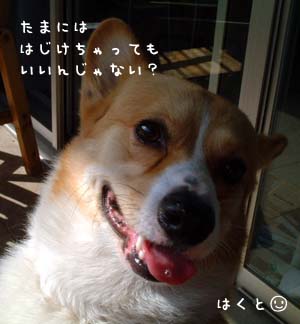 はく。5月28日