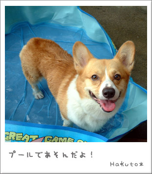 プールに入ったよ!