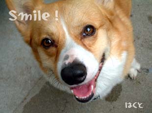 smile!!