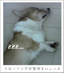 すやすや