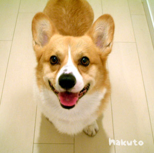 シャンプーしたよ!