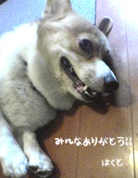 みんなありがとう(*^▽^*)