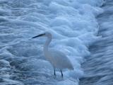 IMG_1540-2