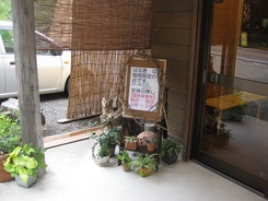 はな2