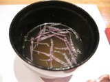 菅吸い物2