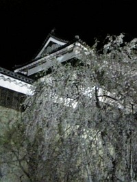 080415_204539