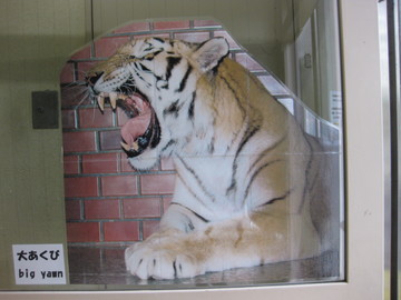 IMG_1619