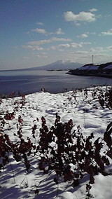 0e695978.jpg