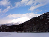 1d029099.jpg
