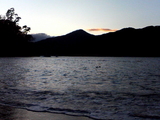 1d93d679.jpg