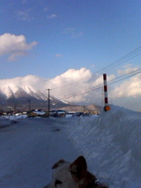 224337ab.jpg