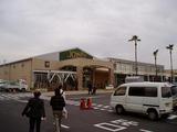 ��¼JOY�⾾��