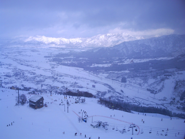 2010...���Ǵݻ��ǽ����2/2��