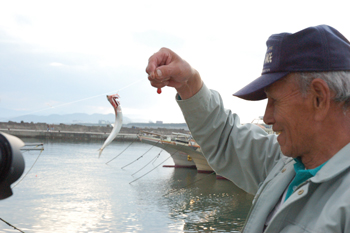 サザンビーチ 海水浴場 6