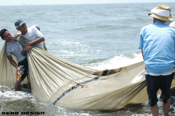 海水浴場 海 夏休み 4