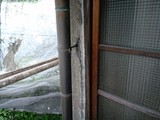 ����š�ȥ����������ȥ����Ƥ�ʬ