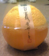 ゼリー1