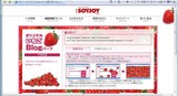 soyjoy