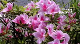 20080427132135