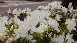 20080427122859