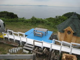 �夫�鸫���ʿ���