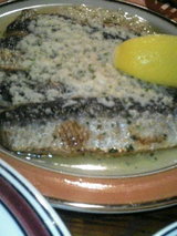 070621_fish2