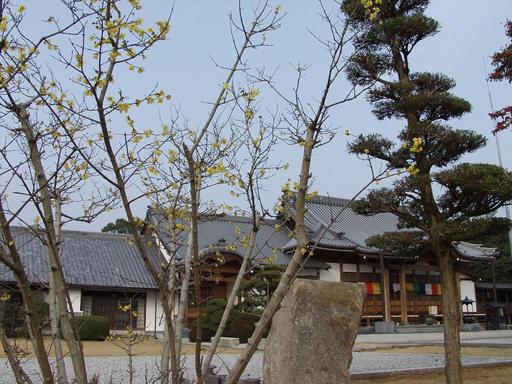 2010.1.11Ϲ��8
