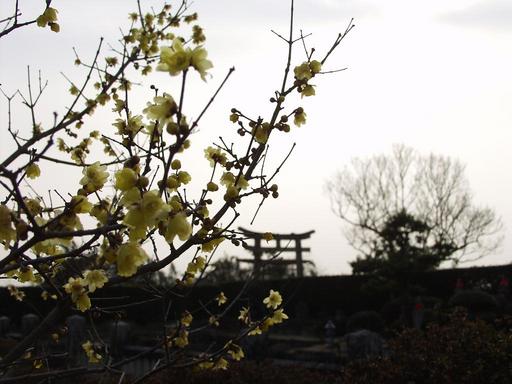 2010.1.11Ϲ��4