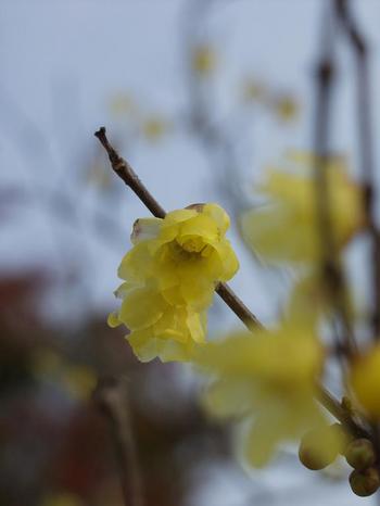 2010.1.11Ϲ��6