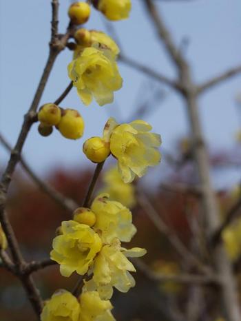 2010.1.11Ϲ��3