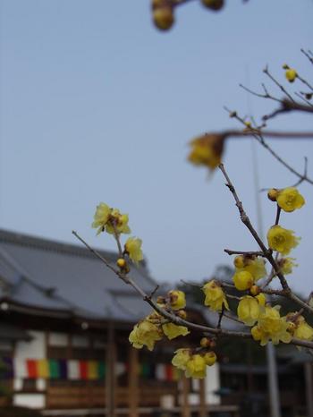 2010.1.11Ϲ��5