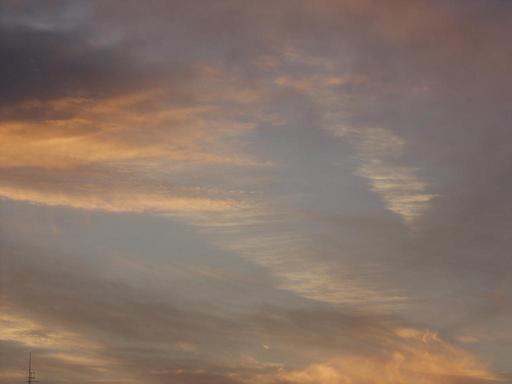 2010127 ͼ��2