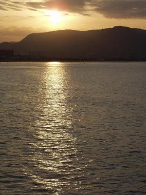 20100130ͼ��