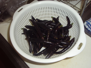 PB180019