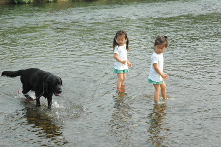 2008070601