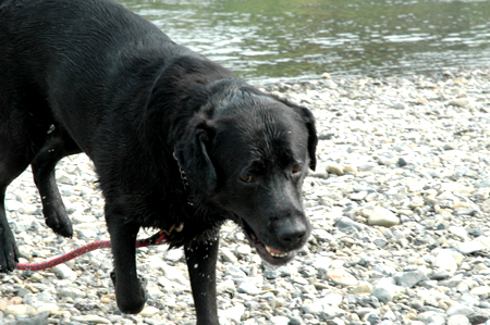 2008070603