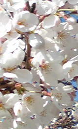 fa1112a7.jpg