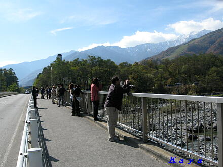 7IMG_5286