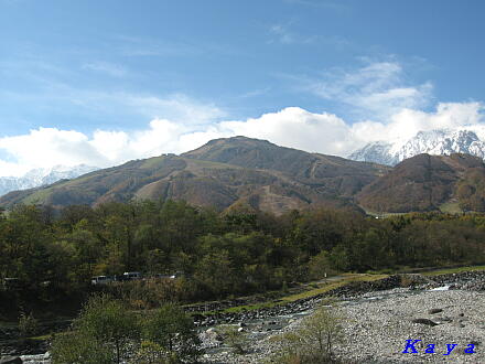7IMG_5285