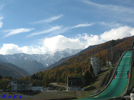 7IMG_5290