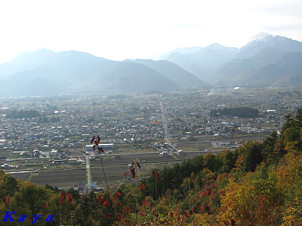 5IMG_5436