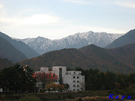 4IMG_5478