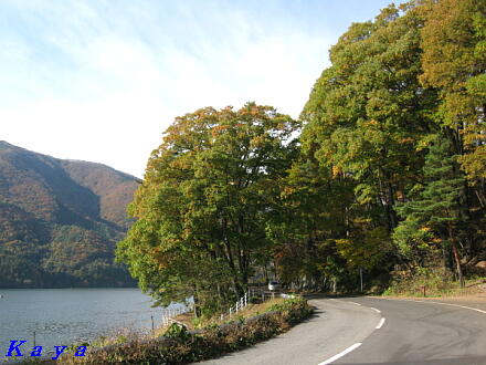 5IMG_5418