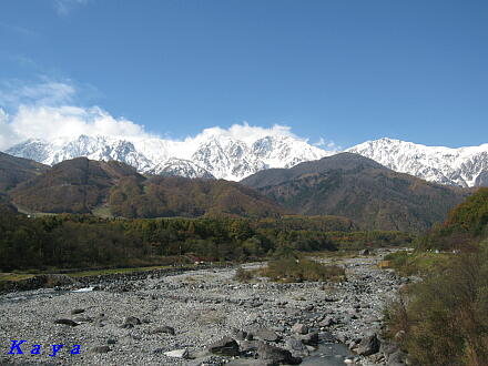 7IMG_5281