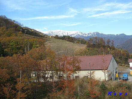 6IMG_5325