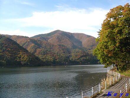 5IMG_5410