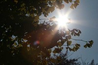 �����祦�ݣ�
