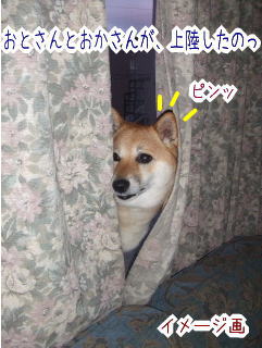 �����ָ�ˤϡ��񤨤�Ρ�����